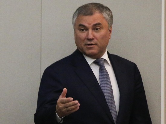 Володин предложил обсудить исключение Украины из Совета Европы