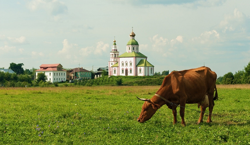 Совфед одобрил закон о сельскохозяйственном туризме