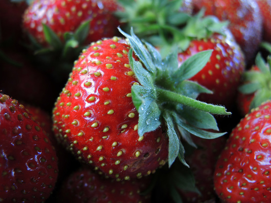 Стало известно, почему святая Хильдегарда называла клубнику &laquo;съедобным ядом&raquo;