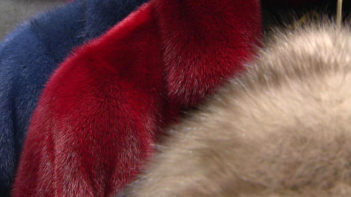 Wildberries: россияне в июне бросились скупать шубы