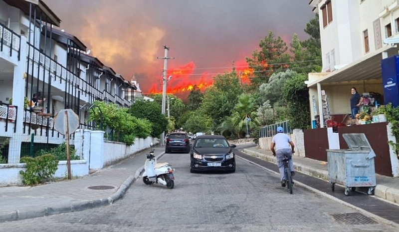 Пожары в Турции могут быть неслучайными