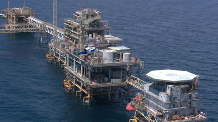 Путин пока не планирует контакты с руководством стран ОПЕК+