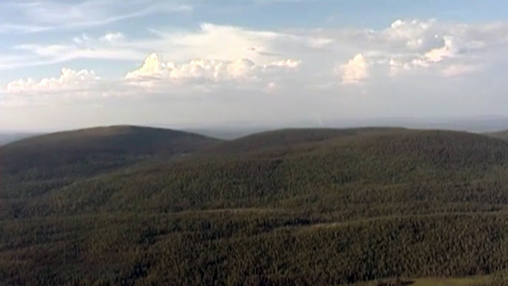 Россияне могут получить бесплатно еще один гектар