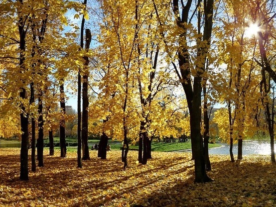 До 13 градусов тепла пообещали в Москве 9 октября