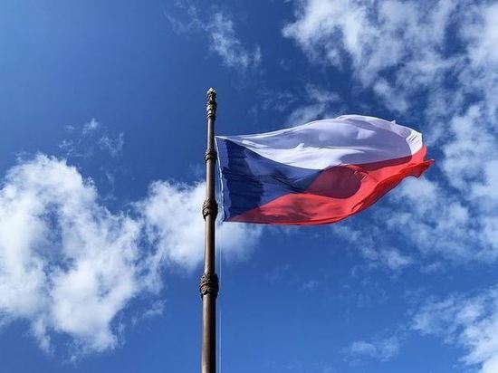 В Чехии раскритиковали идею отстранить президента Земана из-за болезни