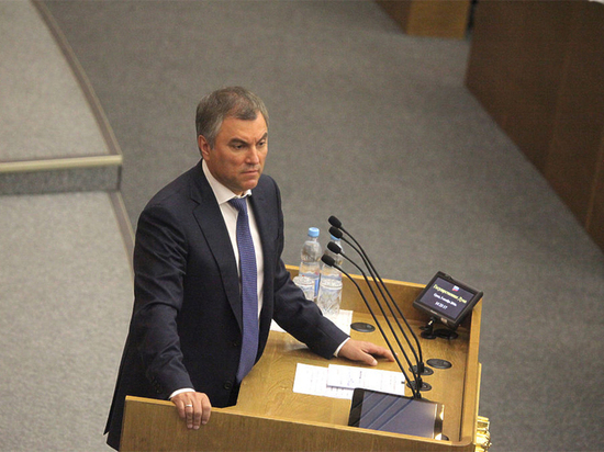 Володин объявил о расследовании из-за закона о школьных онлайн-ресурсах