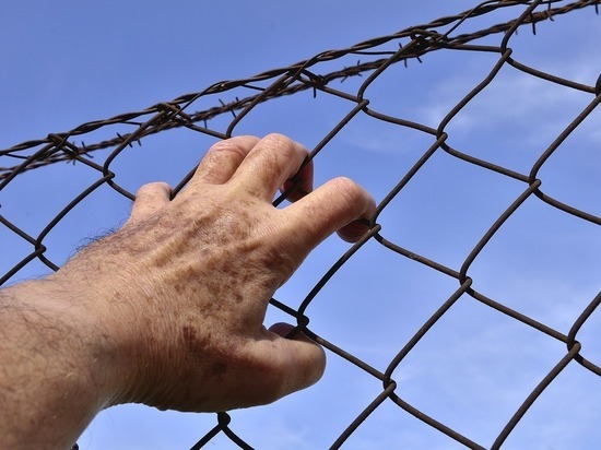 На Украине для двух российских военных запросили по 12 лет тюрьмы