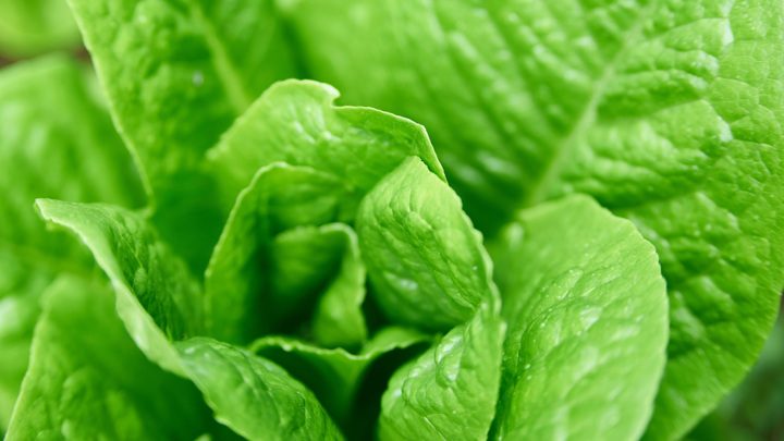 Bloomberg указал на глобальный дефицит популярных продуктов