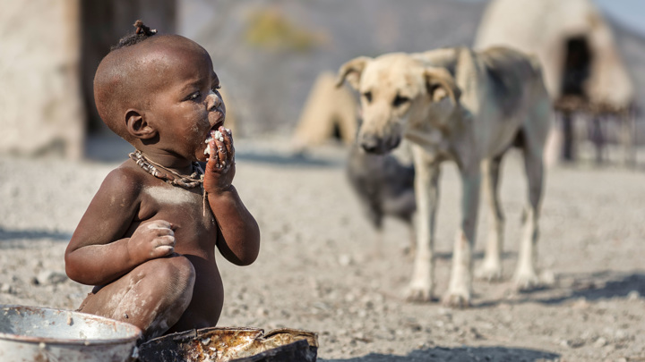 Глава ВТО: экспортные ограничения обострят продовольственный кризис