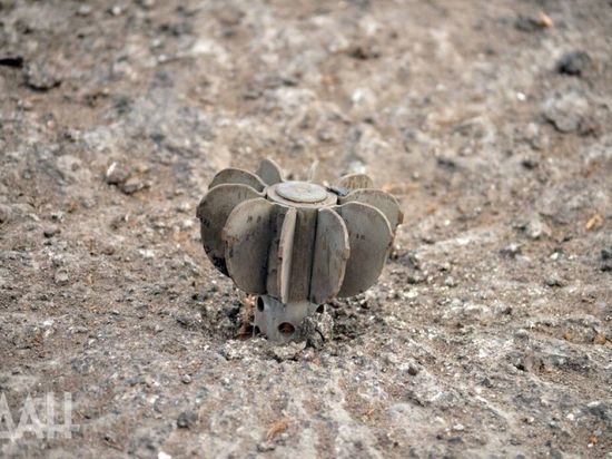 В Белгородском селе Нехотеевка при обстреле со стороны Украины погиб человек