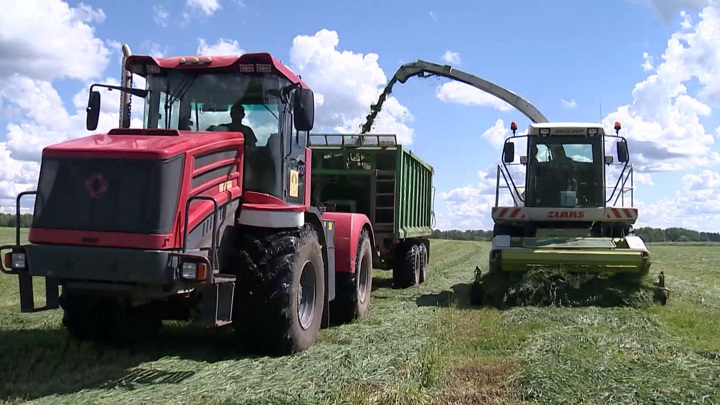 Вакцинация растений и биопрепараты: перспективные разработки российских ученых