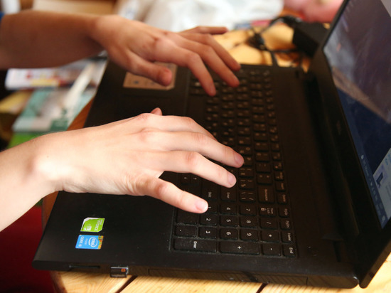 Минцифры исключило из реестра IT-компаний свыше 400 организаций