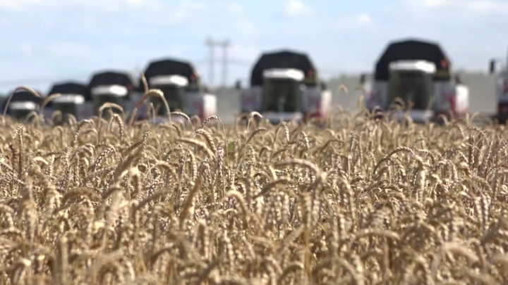 Украина дала гарантии, Россия возвращается к зерновой сделке