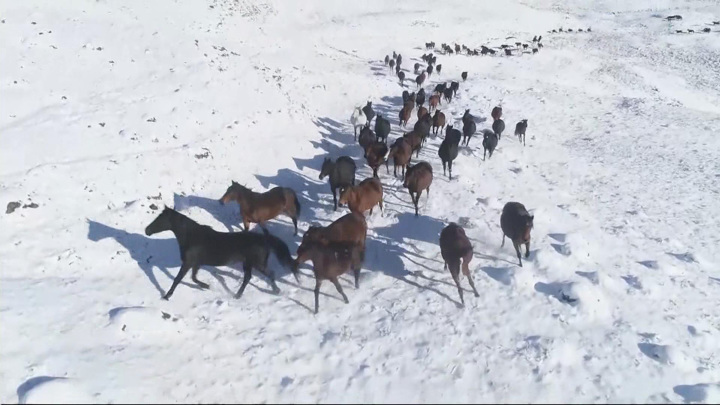 Богатство Минги-Тау: курорты, виды и человеческое тепло