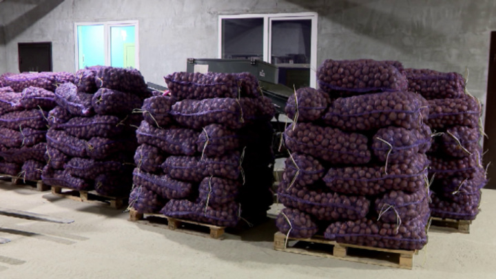 Свыше 1,4 млрд рублей направляется в переработку сельхозпродукции