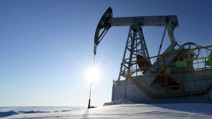 Россия обсудила с рядом стран ОПЕК+ решение о сокращении добычи нефти