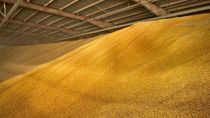Словакия приостановит импорт зерна с Украины