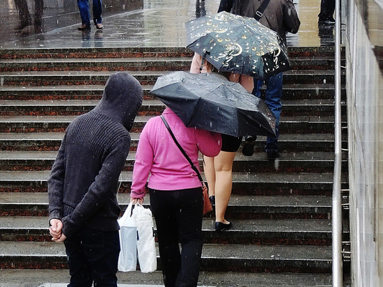 Москве предсказали теплый и дождливый понедельник