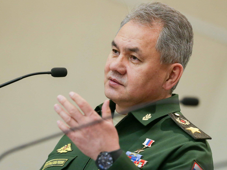 Шойгу озвучил показатели работы военных медиков в зоне СВО