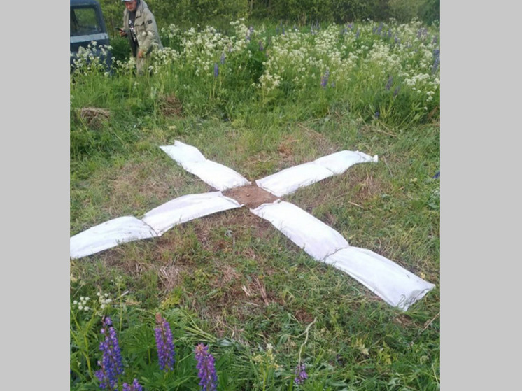 В Псковской области обнаружили метки для дронов ВСУ