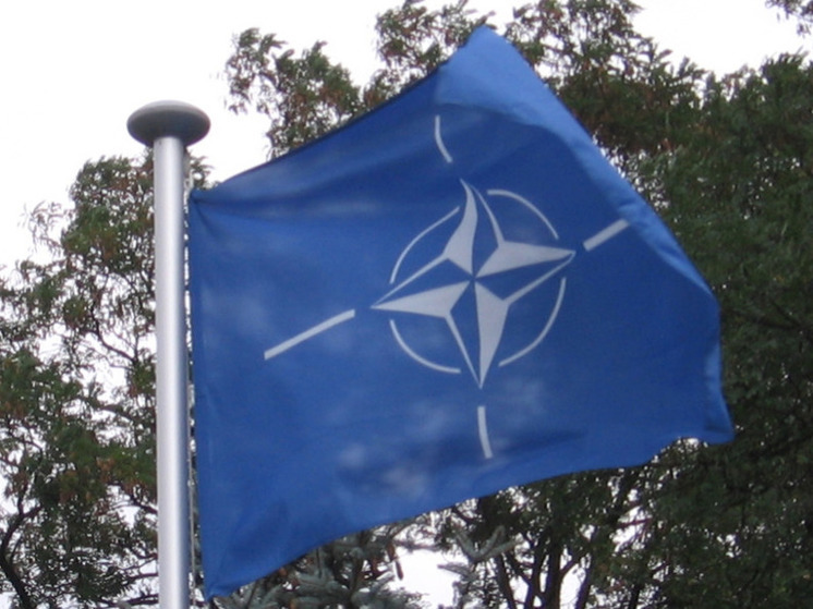 Гагин: помощь Украине стала "непомерной ношей" для НАТО