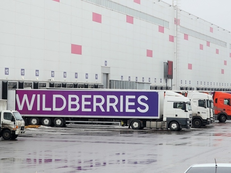 В Подмосковье в ходе рейда задержали 16 сотрудников Wildberries