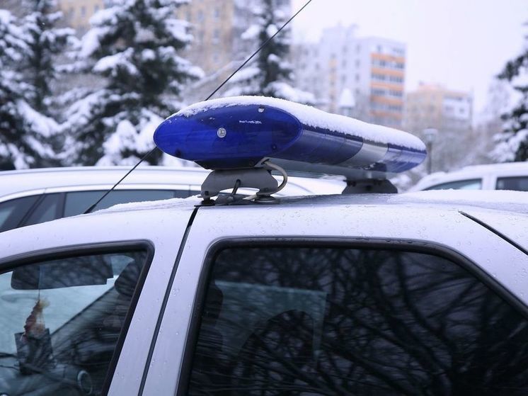 Российские полицейские помогли дальнобойщику из Ирана