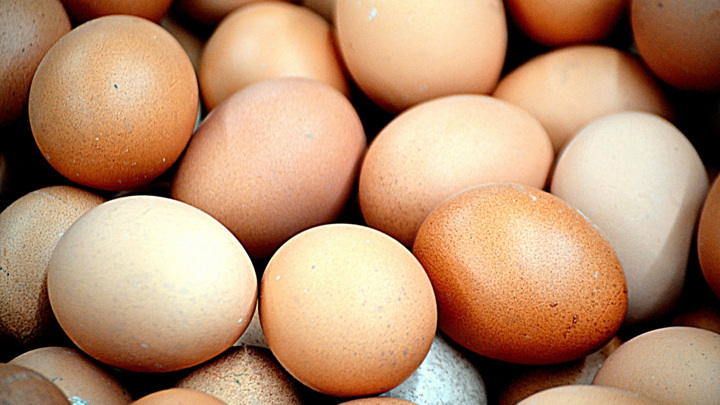 ФАС: в России начали дешеветь куриные яйца