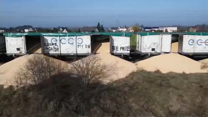 В Польше уничтожено 160 тонн украинского зерна