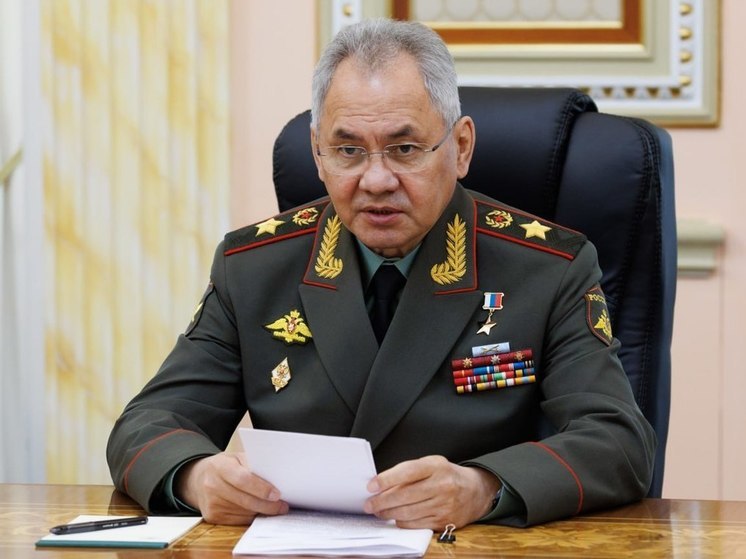 Шойгу отметил успешное продвижение ВС России на красноармейском направлении