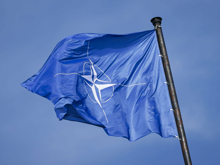 Американский профессор рассказал о последствия НАТО в противостоянии с Россией