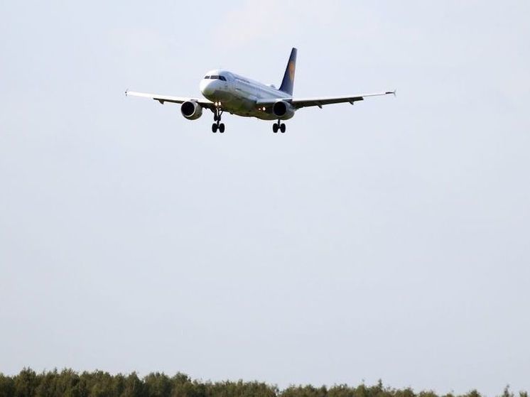 Опаздывающему на самолет россиянину грозит арест с за «минирование» самолета