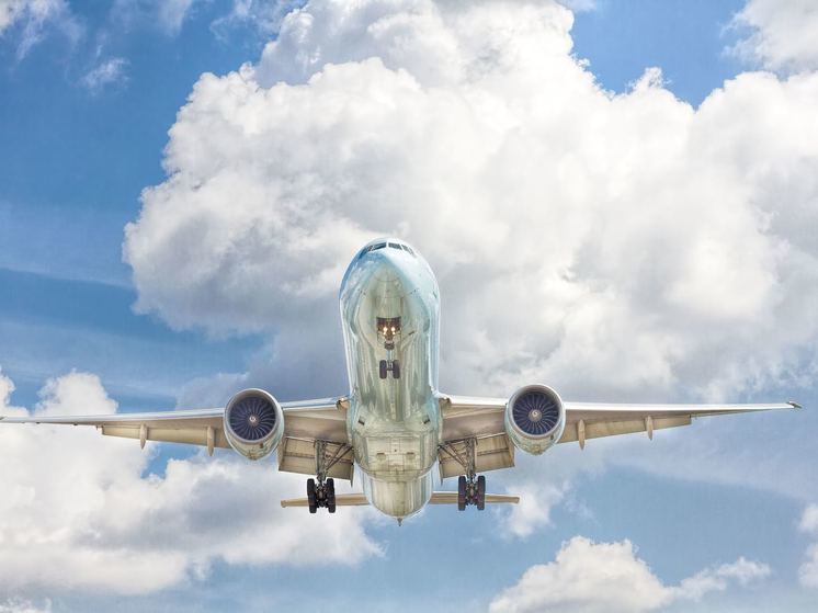 Авиапассажирам предложили дать право самостоятельно сдавать багаж