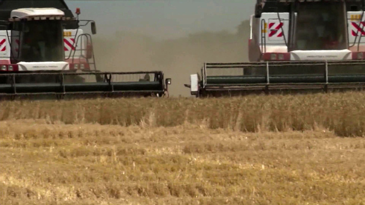 РАПУ: потребности АПК в удобрениях обеспечены на 100% - Новости на Вести.ru