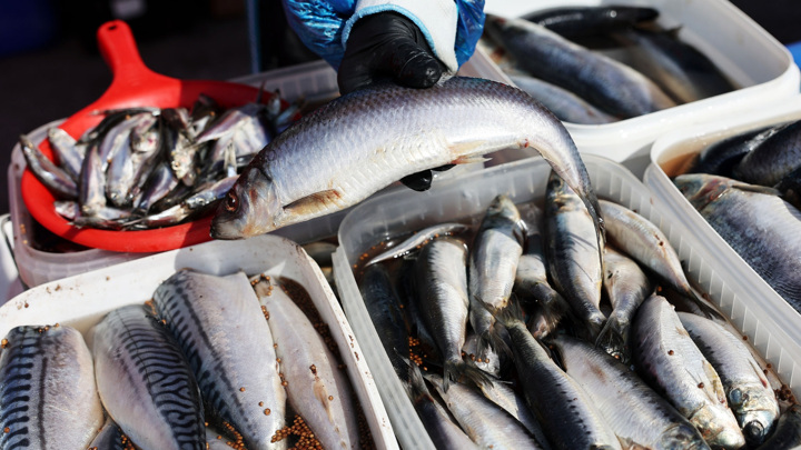 ВАРПЭ: Британия признала зависимость от рыбы из РФ отказом от новых пошлин - Новости на Вести.ru