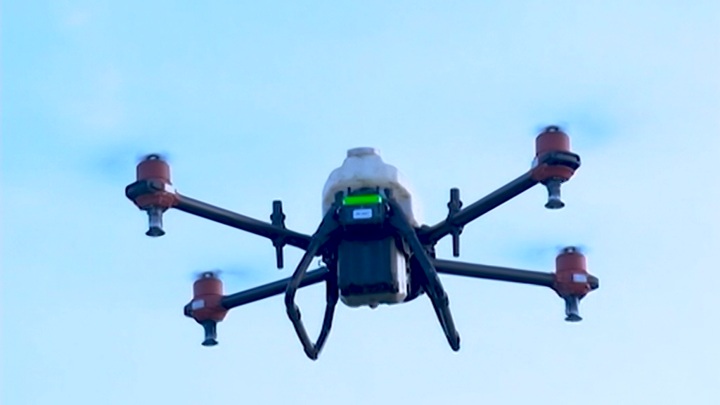 Глава Cognitive Technologies: разработки агродронов в России опережают западные - Новости на Вести.ru
