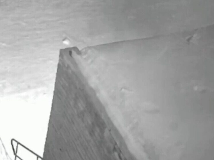 Призывавшего убивать участников СВО сотрудника мэрии нашли под многоэтажкой