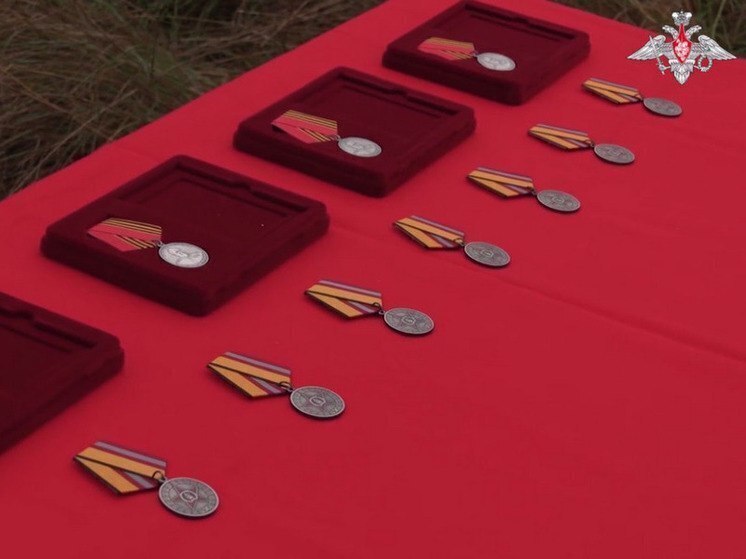 С мая 2024 в рамках проекта &laquo;Время героев&raquo; 27 ветеранов СВО стали госслужащими