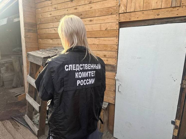 Многодетная мать зарубила топором троих малышей: что известно о кошмарном детоубийстве