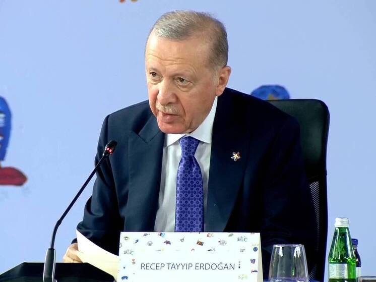 Раскрыто, что произошло между Эрдоганом и пальцами Макрона