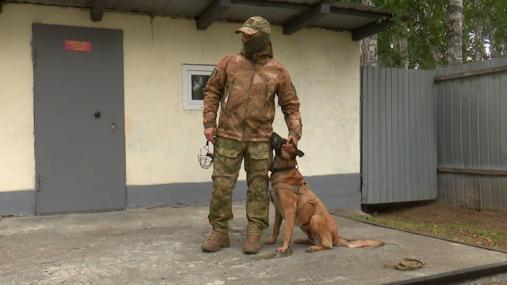 SHOT: на участке ж/д в Белгородской области установили 6 взрывных устройств - Новости на Вести.ru