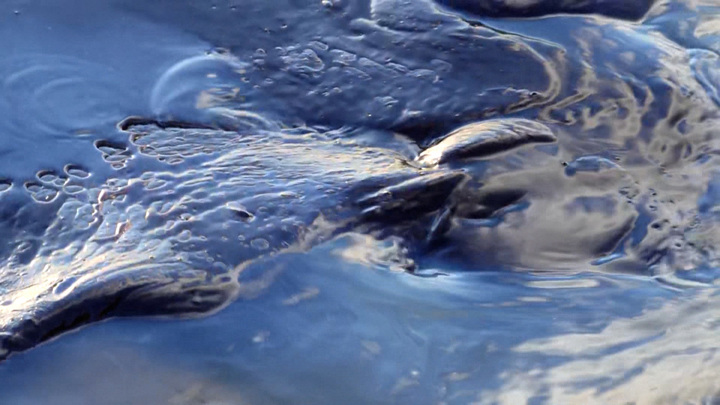 В акватории реки Лена в Якутске обнаружен разлив нефтепродуктов - Новости на Вести.ru