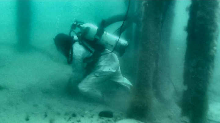 Еще 1,4 млрд руб выделено на ликвидацию последствий разлива мазута в Черном море - Новости на Вести.ru