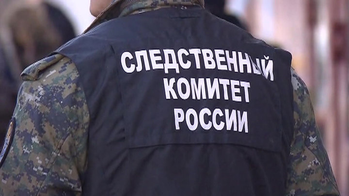 Легкомоторный самолет совершил жесткую посадку под Омском, идет проверка - Новости на Вести.ru