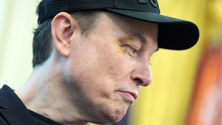 Нейросеть Маска Grok назвала его самого "пророссийским" - Новости на Вести.ru