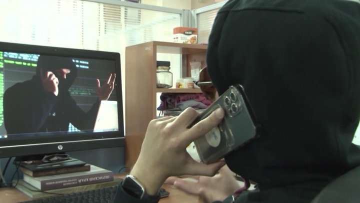 В МВД рассказали, как действуют мошенники-криптотрейдеры - Новости на Вести.ru