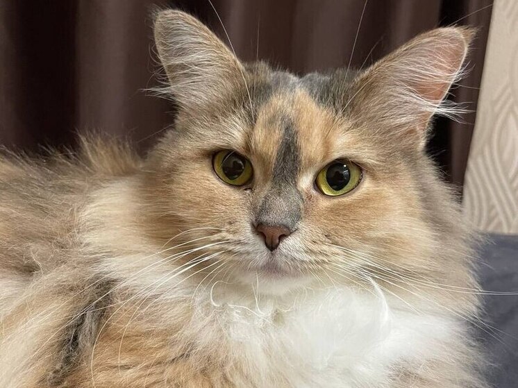 8 августа: какой сегодня праздник