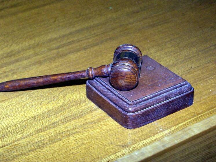 "Фонд имени Розы Люксембург"* был внесен в перечень нежелательных в России