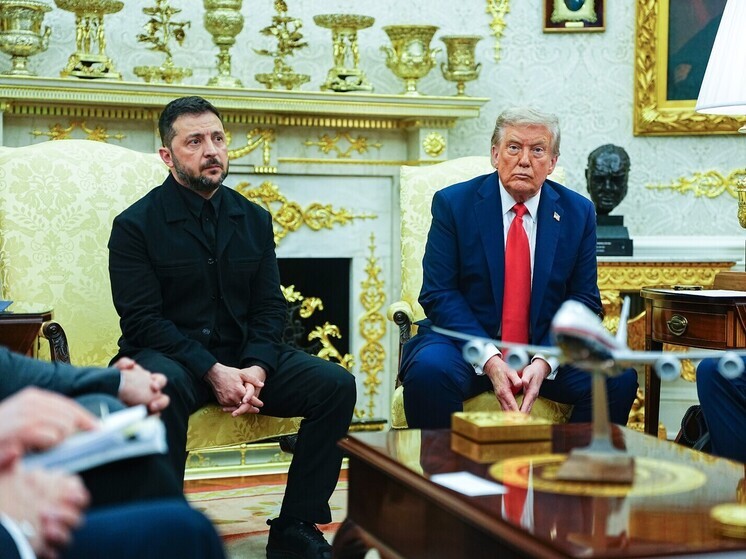 Американист рассказал, чего можно ждать от предстоящей встречи Трампа и Зеленского