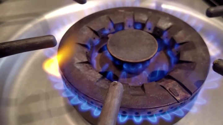 Генсек ФСЭГ: спрос на природный газ в 2025 году продолжит расти примерно на 1,6% - Новости на Вести.ru